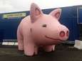 Opblaasbaar varken verdwenen op parking supermarkt Makro: "We dachten eerst dat het om een grap ging"