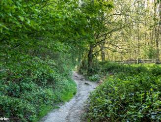 Minfullness in de Gerstjens: “Stiltewandeling door natuurgebied”