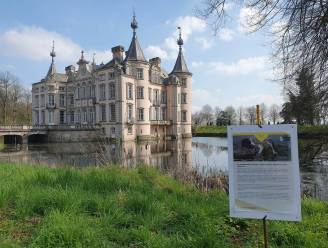 Vervuild slib moet weg uit vijver rond Kasteel Poeke: “Nodig voor dieren én stabiliteit van kasteel”