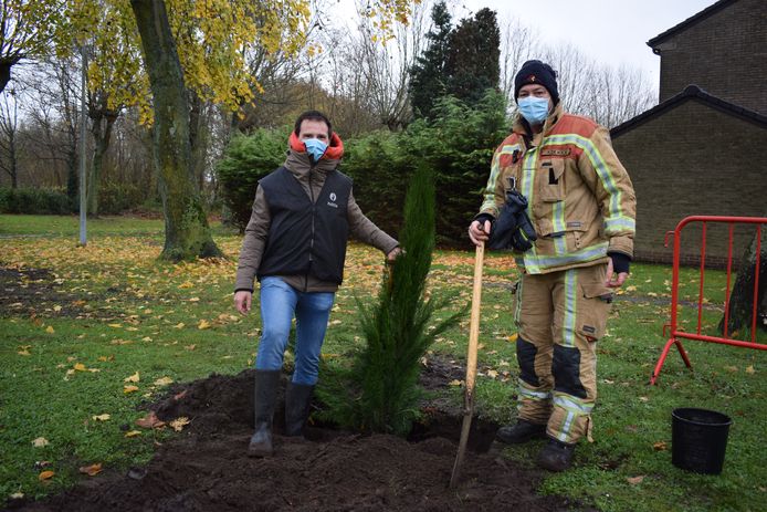 Politie en brandweer plantten samen een cipres aan.