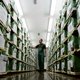 Gesteggel over aantal doden in Srebrenica