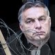 Is Orbán een dictator of overwinnaar?