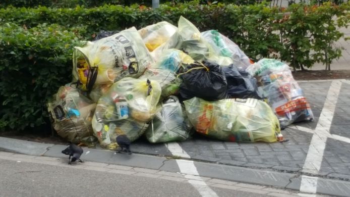 Sympathiek lied hiërarchie Plastic afval mag bij ROVA wel in gekleurde vuilniszak | Zwolle |  destentor.nl