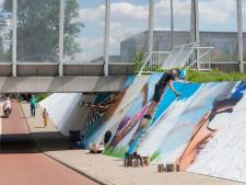 Dit zijn de drie tunnels in Veenendaal die straatkunst krijgen (en Weverij is als eerste aan de beurt) 