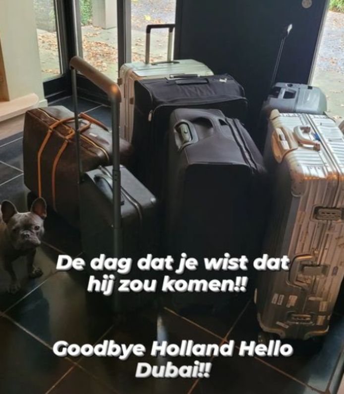 De koffers van Gordon én zijn hondje.