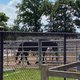 Terwijl hij 1.000 euro schonk aan een afgebrande manege, werd ‘paardenvriend’ rijk op kap van verwaarloosde dieren