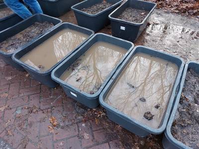 Door kinderen geplante bloembakken in 200 bakken verzopen door overvloedige regenval
