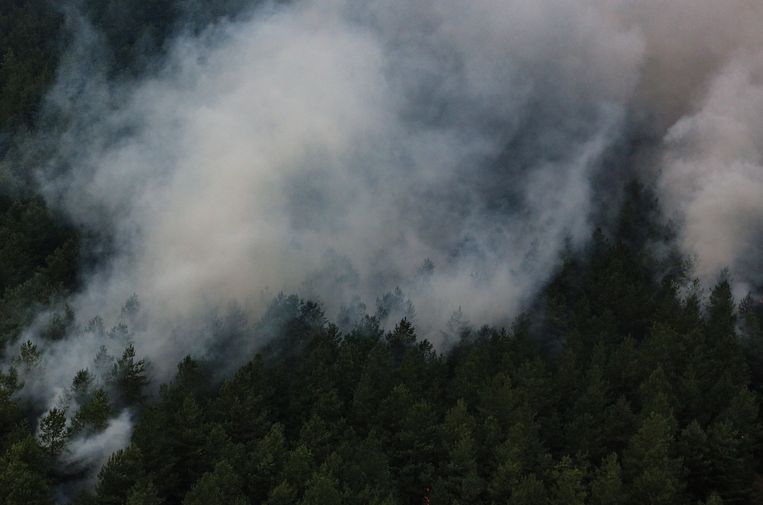 Door de vele bosbranden in Oekraïne komen tonnen CO2 vrij Beeld NurPhoto via Getty Images