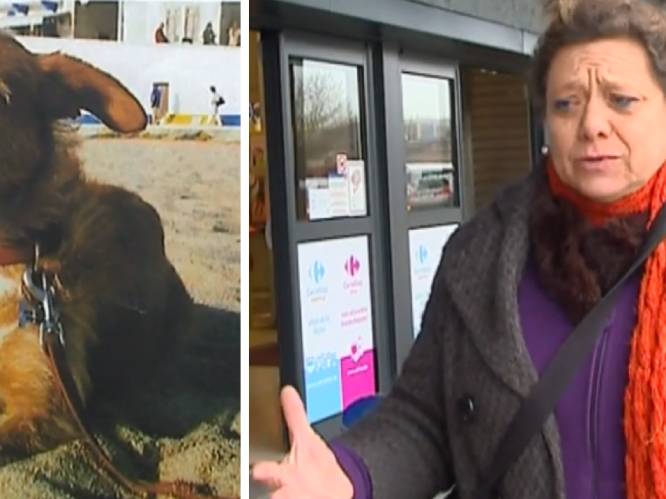 Auto gestolen met hondje erin: Kristin uit Deurne wanhopig op zoek naar Maria