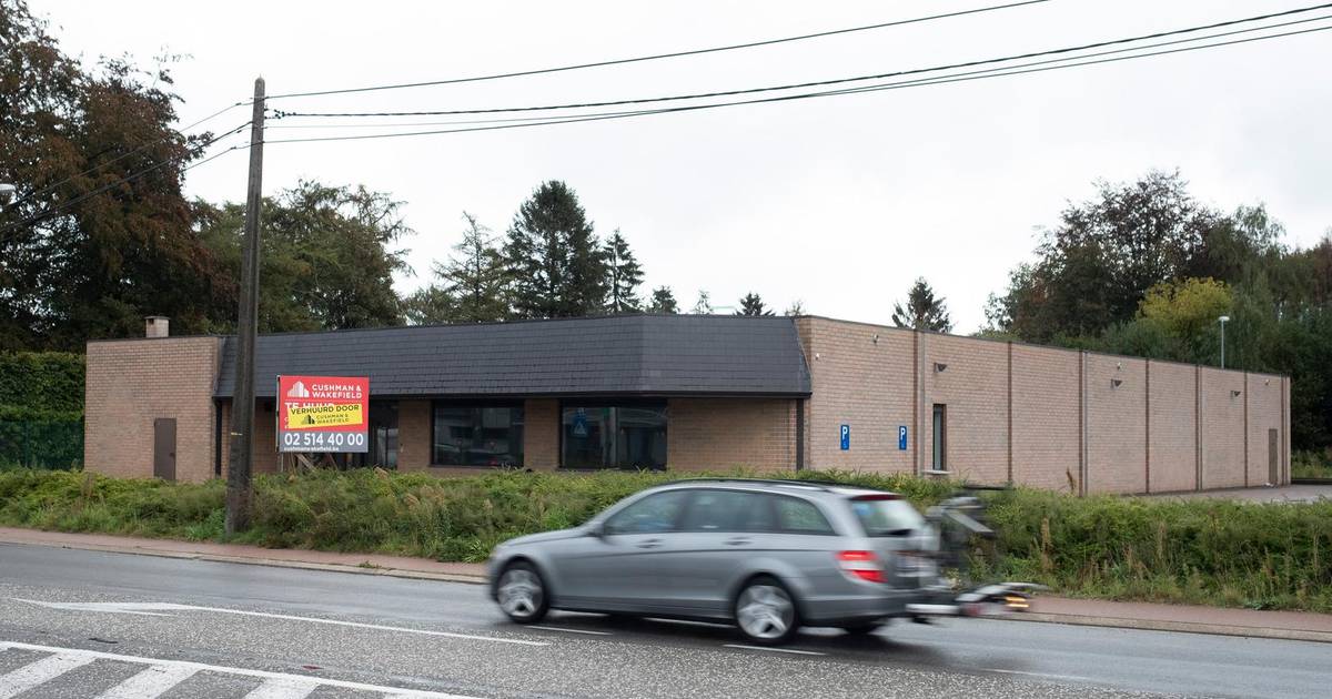 Burger King komt naar Massenhoven Zandhoven hln.be