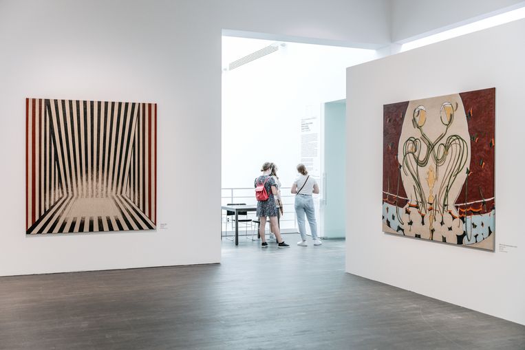 Leech onderzocht  het brein van  de kunstkijker en alle aspecten die deel uitmaken van die kijkbeleving. Beeld Damon De Backer