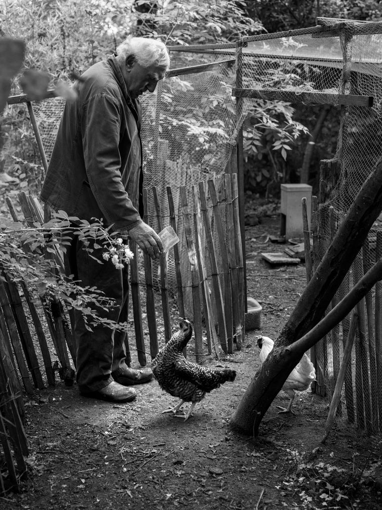 ‘Mijn schilderwerk is stilgevallen, dat is een rare bijwerking van het rouwen. Ik had een mooi nieuw atelier gemaakt, achteraan in de tuin. Dat is helemaal onderkomen.' Beeld Stephan Vanfleteren 