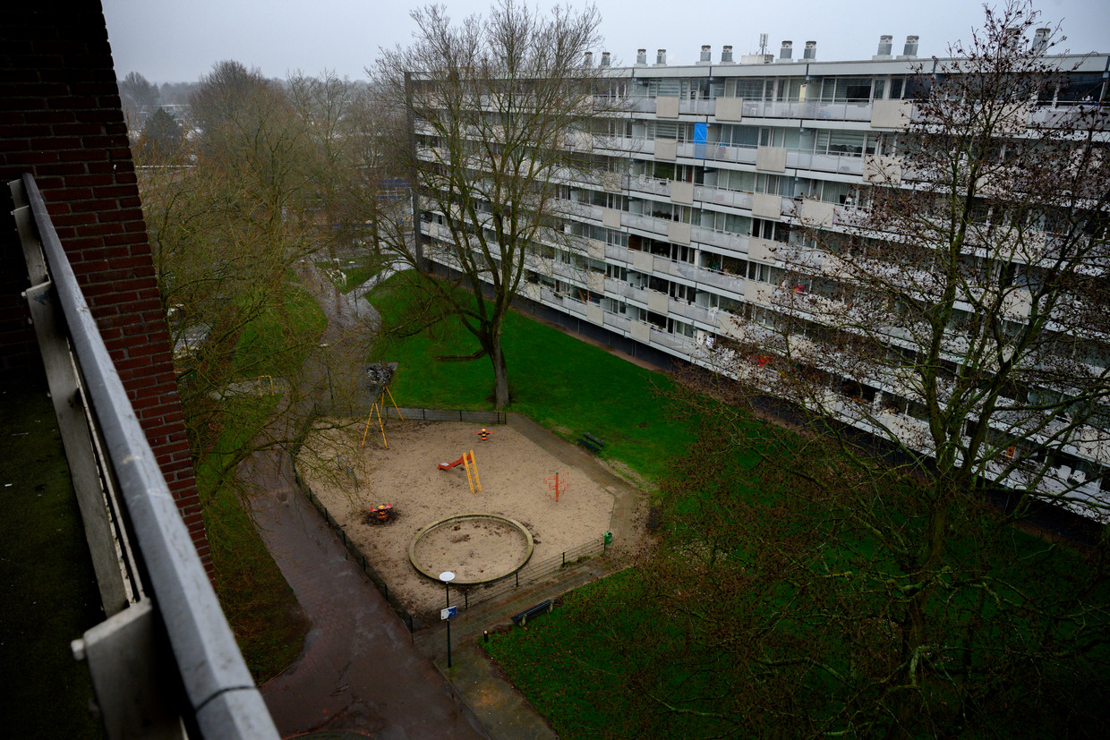 null Beeld Bram Petraeus