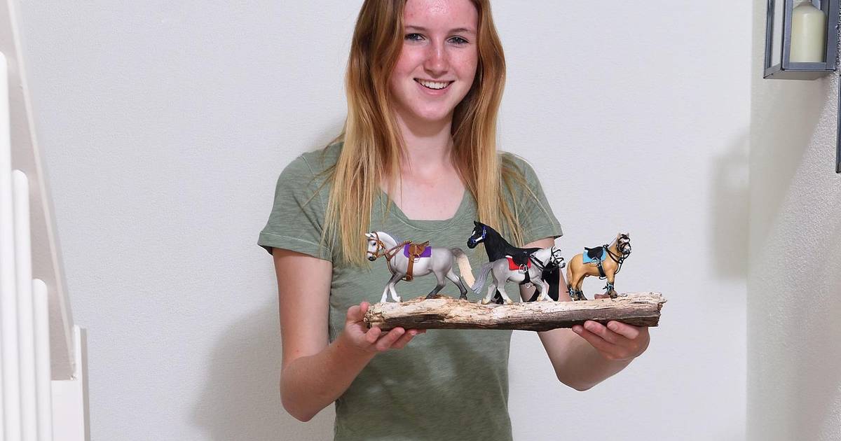 Handgemaakt Tuig Voor Miniatuurpaarden Amersfoort Ad Nl Schleich nutztiere| farm world ; handgemaakt tuig voor miniatuurpaarden