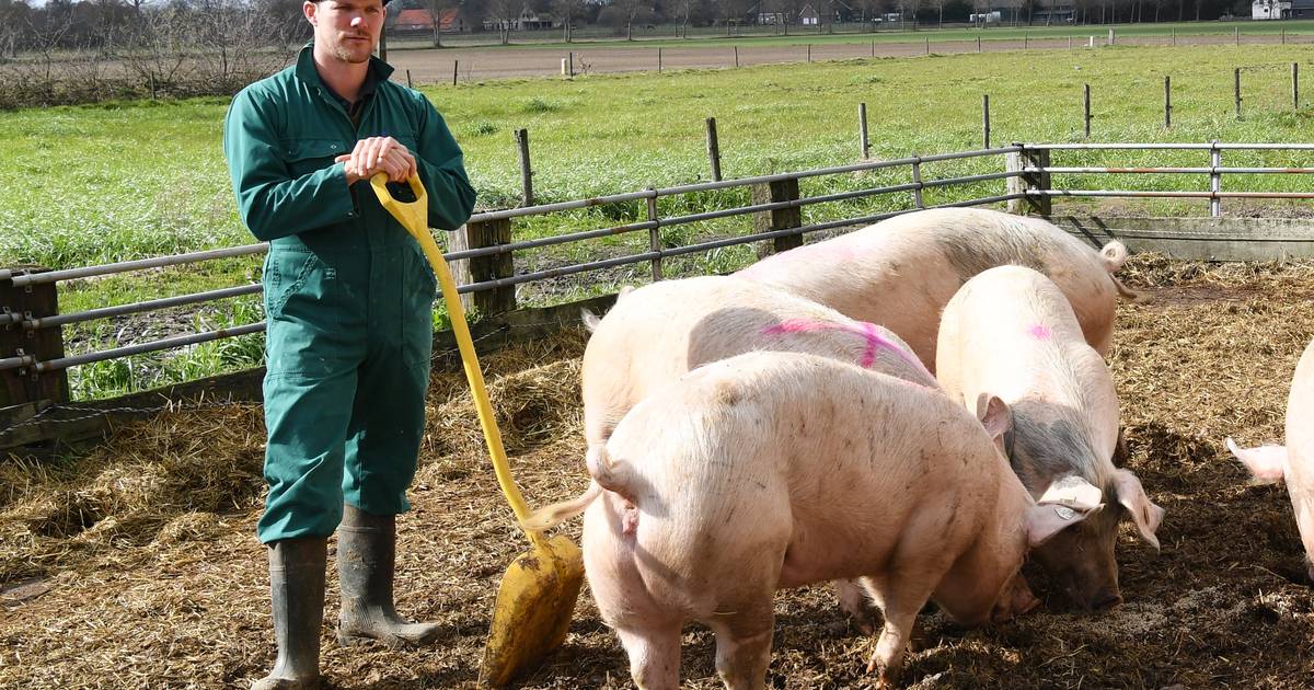 Bio-keurmerk: ja of nee? 'Klanten weten hoe de dieren hier leven en dat maakt een keurmerk minder re