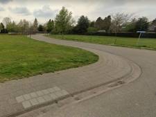 Wie meldde zich in 1999 voor een bouwplan in Budel? Inschrijvers van toen maken nu pas een kans