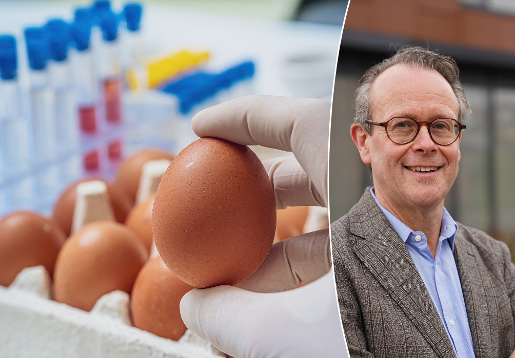 Wat is salmonella en via welke voeding kan je het krijgen? Foto hln.be
