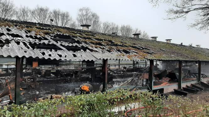 ‘Ik hoorde het alarm en dacht: Shit, brand!’ Eigenaar richtte zich op redden 60.000 kippen, schuur met werktuigen gaat verloren 