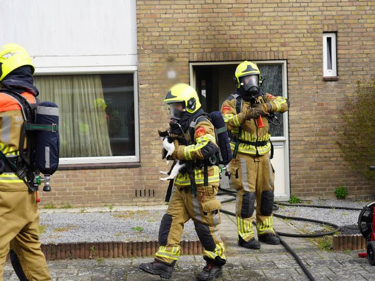Brandweer redt kat uit woning bij keukenbrand in Dongen, veel schade