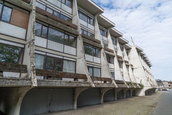 De stad Antwerpen en de Vlaamse regering experimenteren met een nieuwe manier van wonen: de woningcoöperatie De Arenawijk, ontworpen door modernistische architect Renaat Braem, wordt als een van de eerste projecten uitgekozen.