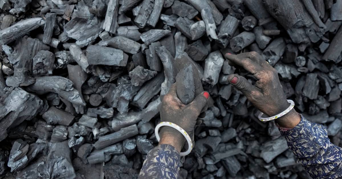 “Non abbiamo mai bruciato così tanto carbone nel mondo”.  ambiente