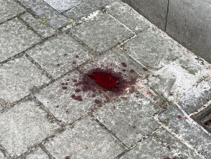 De Bisschopstraat en de Constitutiestraat waren een tijd afgesloten voor het verkeer. Op verschillende plaatsen waren bloedvlekken te zien van het slachtoffer.