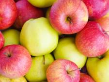 Waarom je beter een rode dan een groene appel kunt eten