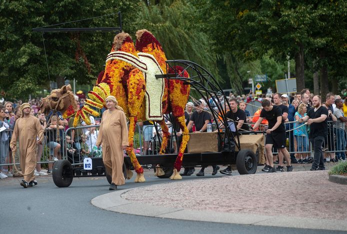 Speeltuin De Vrees met Chamoh
