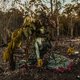 Deze docuserie laat zien: er is meer dan olie, cocaïne en soja in de Amazone