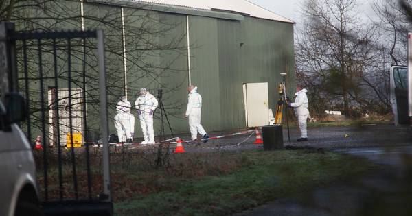 Ontvoering van Gino en Rien past in criminele folklore - AD.nl