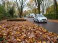 Heerde ligt bedolven onder herfstbladeren: ook vijftien bladblazers gestolen op gemeentewerf