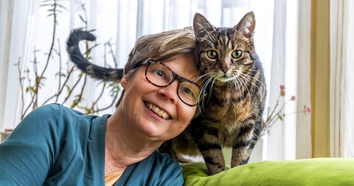 hoe zorg je voor een blije kat in huis begin eens met 10 minuten met haar spelen elke dag utrecht ad nl