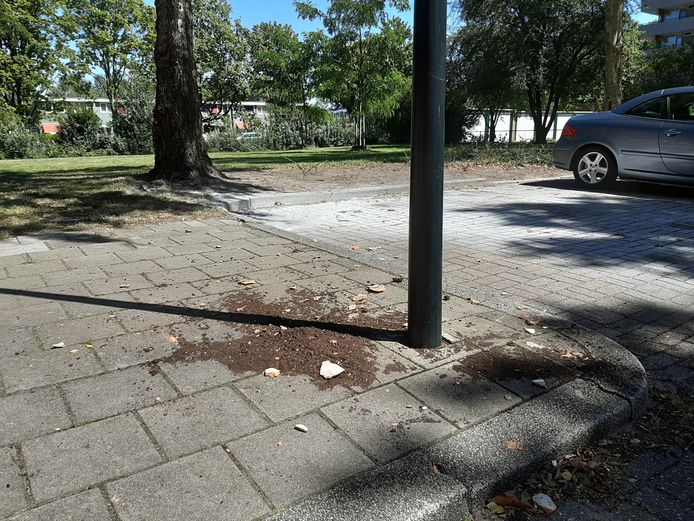 De stille getuigen van het incident aan de Aristotelesstraat in Apeldoorn.