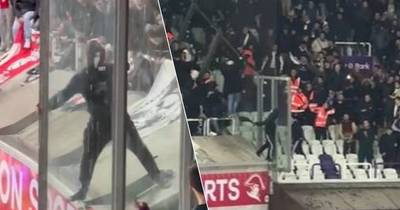 Images hallucinantes: un hooligan de l’Antwerp met sa vie en danger pour attaquer des fans anderlechtois