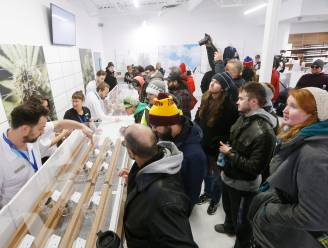 3 weken na legalisering is vraag naar marihuana te groot: Canadese handelaars volledig uitverkocht