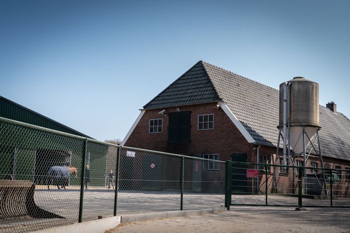 Er heerst rhinopneumonie op het paardenpension De Snippervlucht in Doorwerth. Rhinopneumonie is een voor paarden levensbedreigende en zeer besmettelijke virusziekte. De pensionstal is hermetisch op slot gegaan.