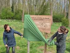 Nieuw voedselbos in De Lier heet De VliereLier: ‘We hebben de wind mee’
