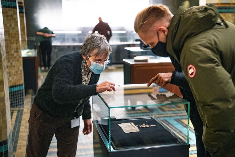 Een medewerkster van het stadsarchief legt aan bezoekers uit hoe bijzonder het manuscript is van Floris de Vijfde, 750 jaar oud. 
 Beeld Guus Dubbelman / de Volkskrant