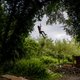 Britse activisten leven in boomhutten: ‘Zodra ze willen ontruimen, klimmen we de bomen in’