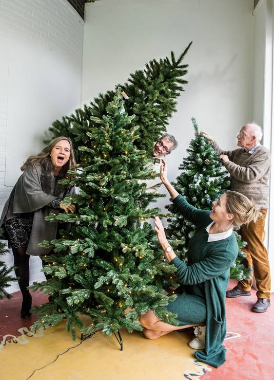 Trouw Slagschip Collectief Deze kunstkerstbomen komen als beste uit de test | Goeie Koop | AD.nl