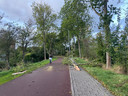 Een grote tak is van een boom afgebroken aan de Oude Vlissingseweg in Middelburg.