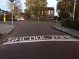 Nederlandse stratenmaker maakt taalfout, dag na herstelling is het weer van dat: "Nu zijn ze aan het klooien"