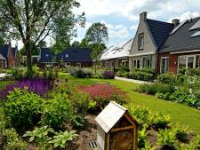 Weinig grote verschillen in ruim honderd pagina’s Oirschotse partijprogramma's, keuze zit in de nuance