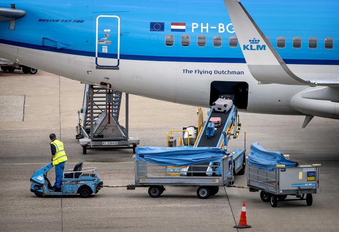 Betsy Trotwood gemak knoflook KLM: overstappers op Schiphol kunnen weer ruimbagage meenemen | Amsterdam |  AD.nl