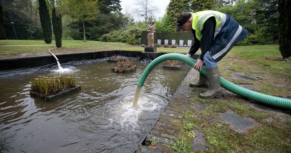 Oorlogsmonument in Budel-Dorplein krijgt opfrisbeurt | Cranendonck - Eindhovens Dagblad