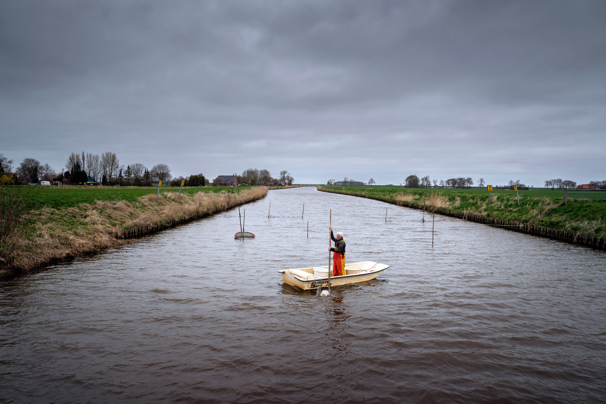 Vismonitoring in Oost-Groningen. Beeld Reyer Boxem