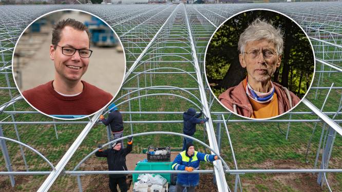 Aardbeiengigant uit Bemmel mag kassen met gas verwarmen, maar krijgt met Vollenbroek te maken