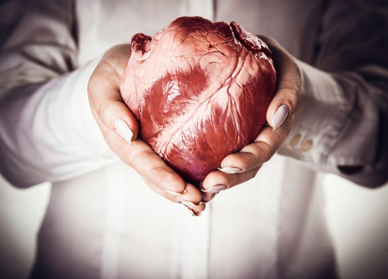 ‘Zeer pijnlijk voor cardiologen: ze vertellen al veertig jaar het verkeerde verhaal.’ Beeld Thinkstock