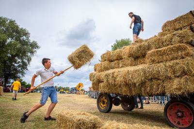 Roemenen winnen NK Hooien in Appeltern