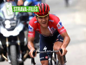 Het ene Strava-record na het andere: Remco Evenepoel maakt op hoogtestage indruk met inspanningen over twintig minuten en één uur